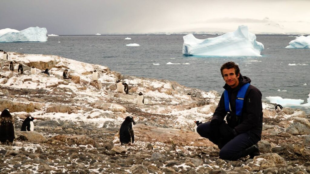 Adventure traveler crouching near gentoo penguin colony in Antarctica, icebergs floating in background