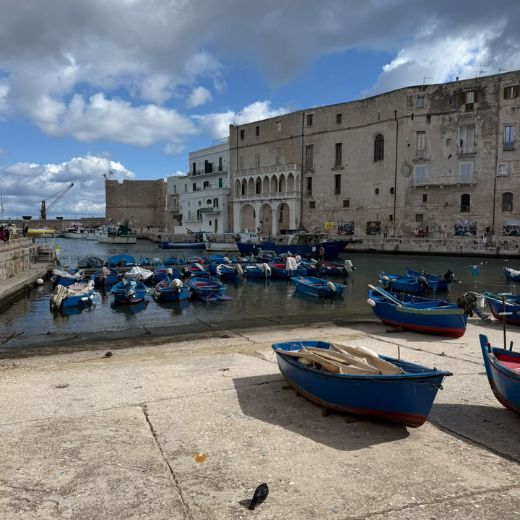 Traditional blue wooden fishing boats moored in Monopoli’s old harbour, Puglia